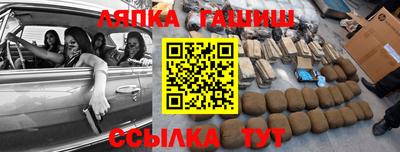 гидра Гай