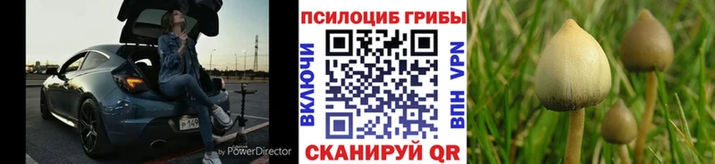 это какой сайт  купить  сайты  Кисловодск  Галлюциногенные грибы Cubensis 